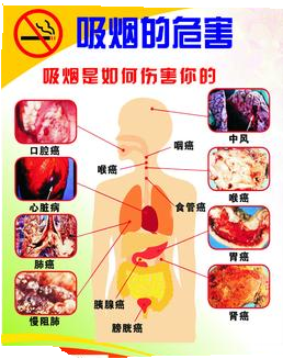 珍爱生命,远离烟草