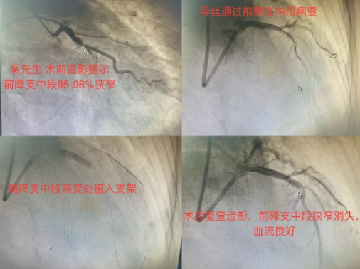 c39cec95-3964-4703-9a22-c7b2d8d6b3f1.png